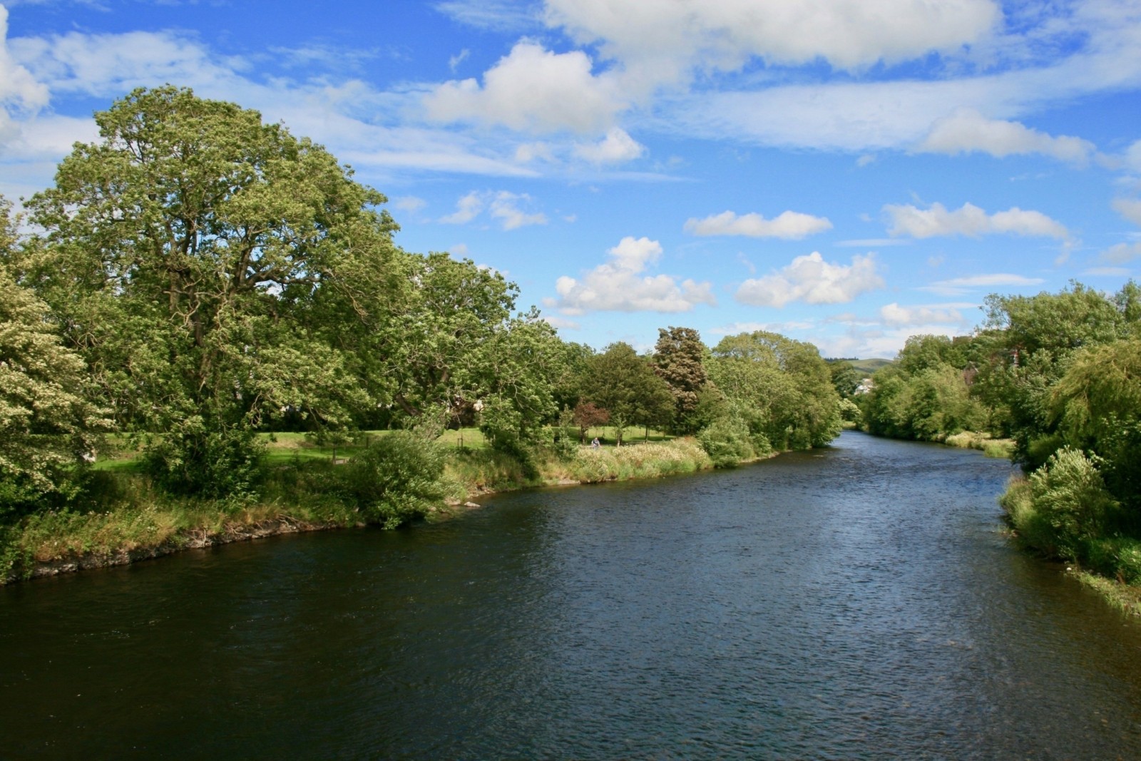 River Cocker