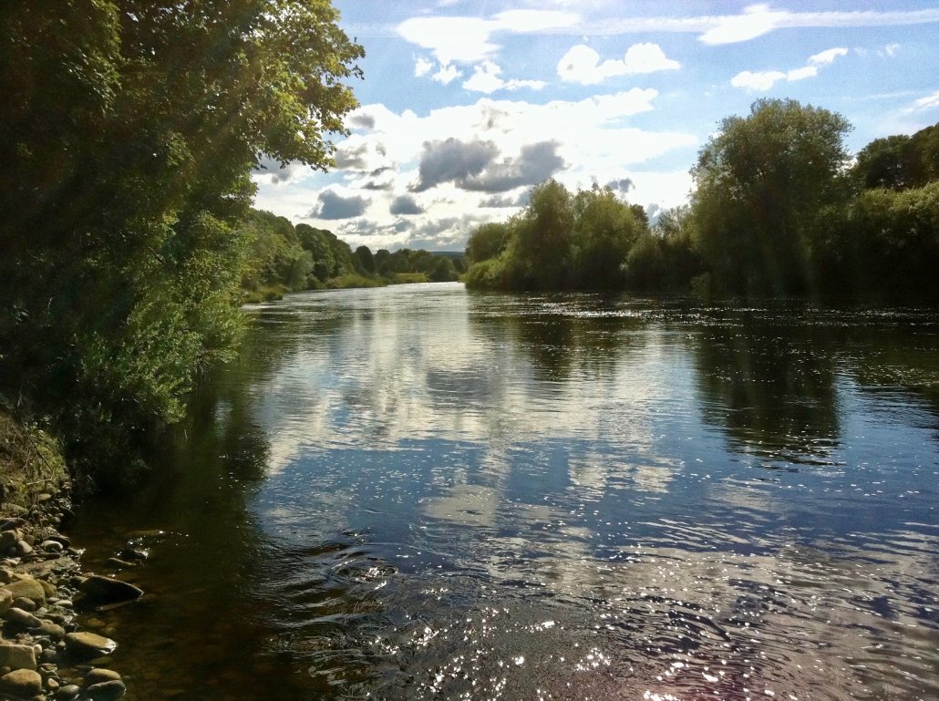 The lower course of a river