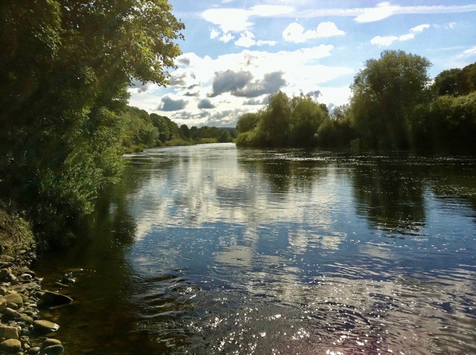 The lower course of a river