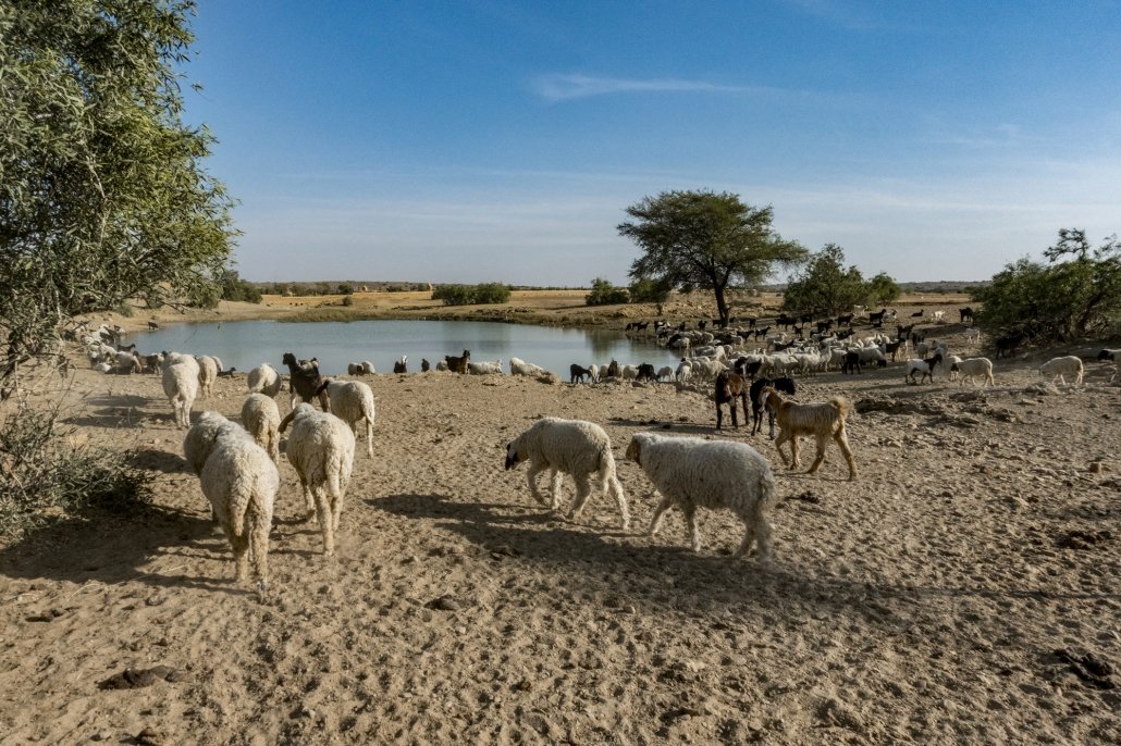 A toba in the Thar Desert