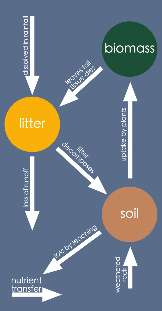 Epping Forest Nutrient Cycle