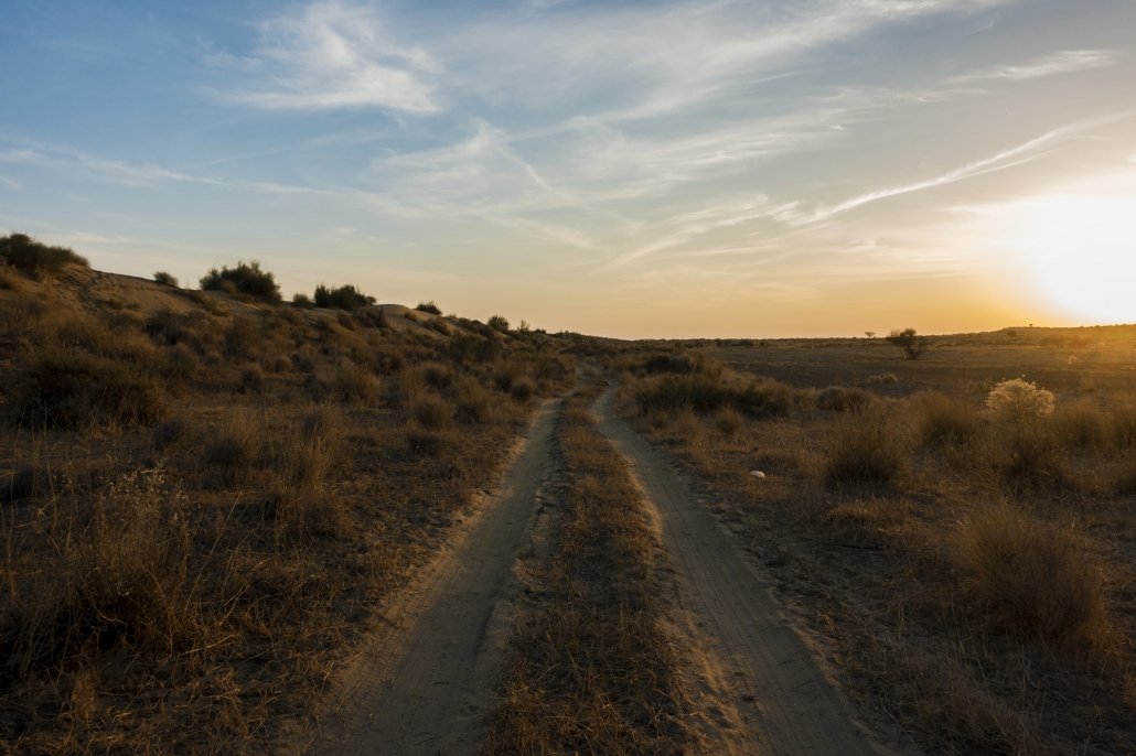 thar desert case study challenges