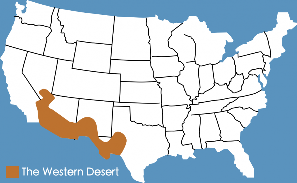 case study western desert usa