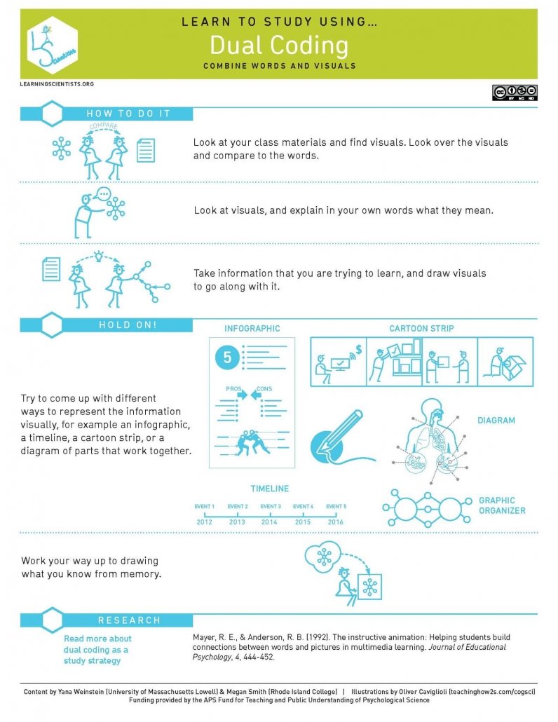 dual coding infographic