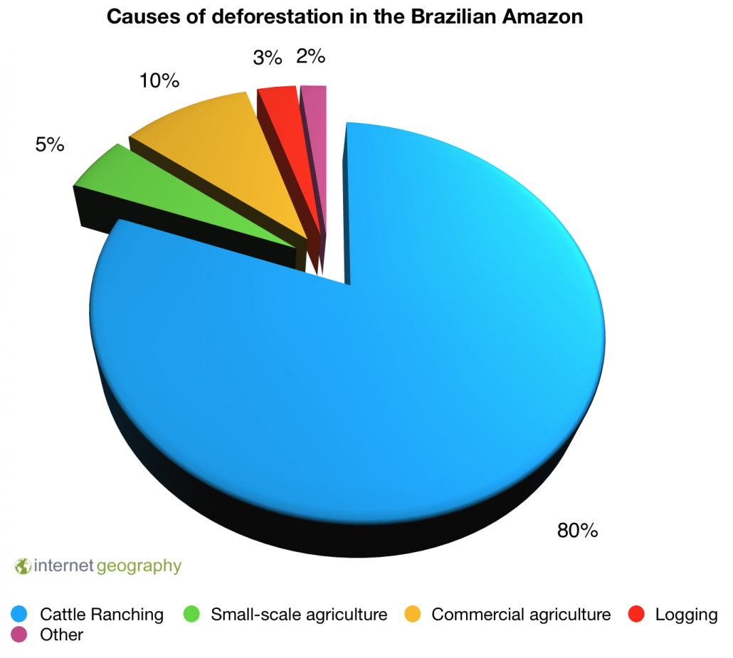 Causes of deforestation in the Brazilian Amazon