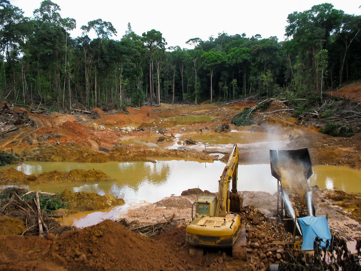 Gold mining in the Amazon Rainforest