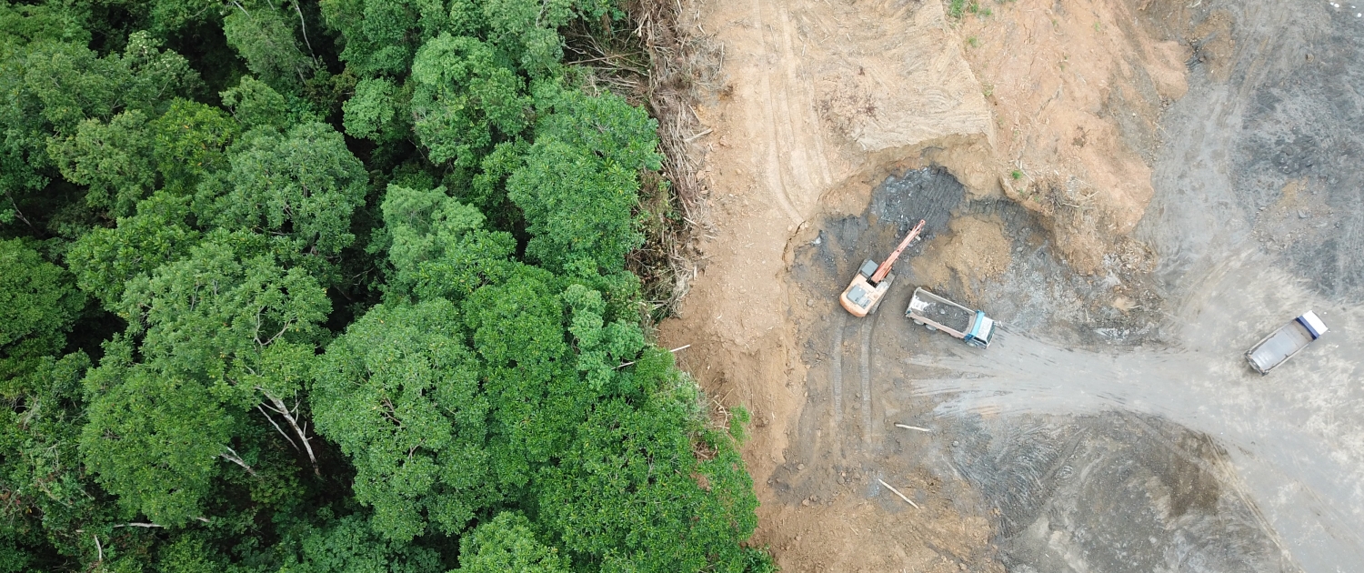 deforestation case study in malaysia