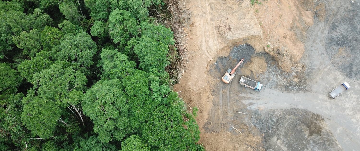 Causes of rainforest deforestation in Malaysia - Internet Geography