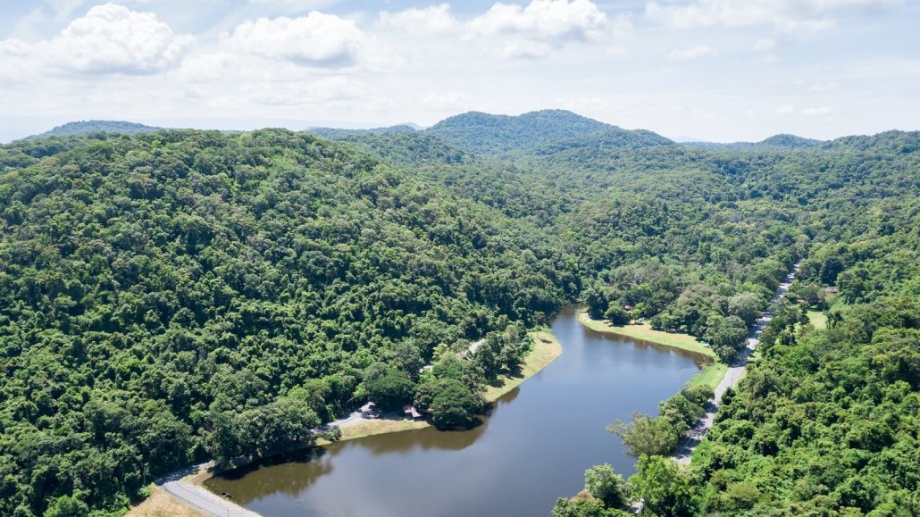 A reservoir in the Amazon rainforest