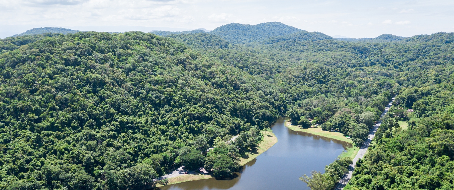 A reservoir in the Amazon rainforest