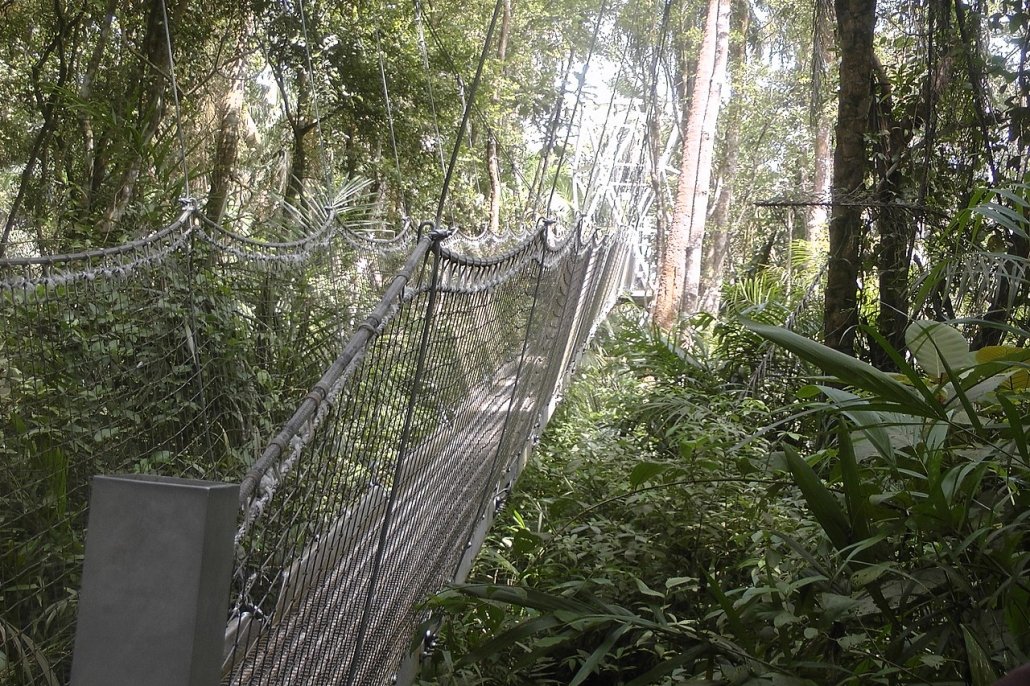 Lekki conservation centre Lagos