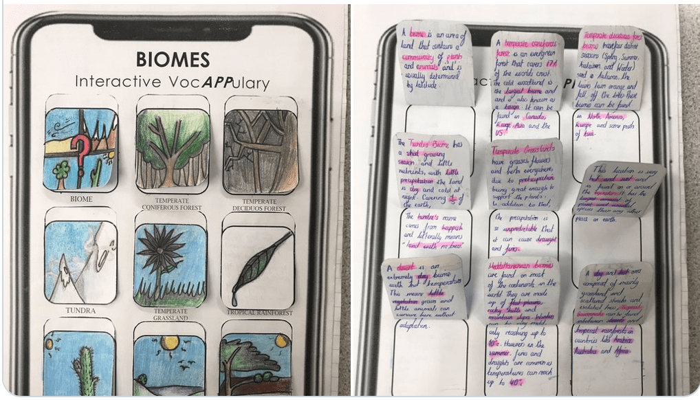 Biome App Worksheet - Internet Geography