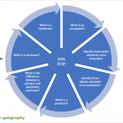 Retrieval Wheel