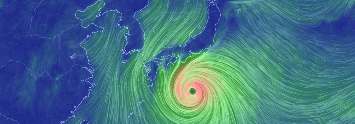 Typhoon Hagibis
