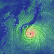 Typhoon Hagibis