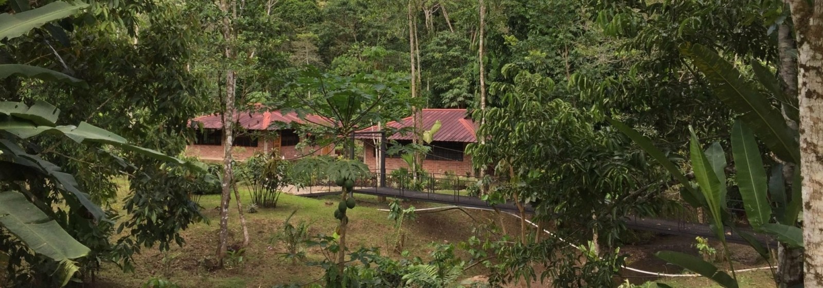 Yachana Lodge