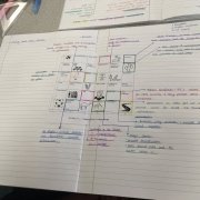 Living World Revision Grids