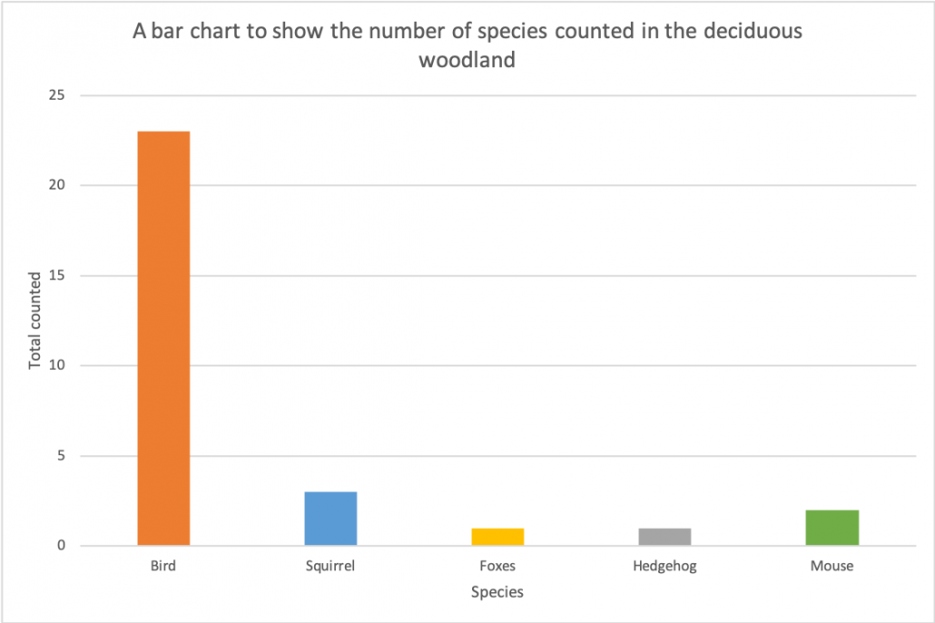 Bar Chart Activity