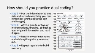 dual coding - Internet Geography