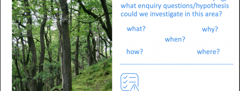 Identify enquiry questions and risks associated with the deciduous forest