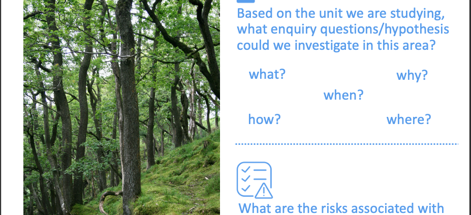 Identify enquiry questions and risks associated with the deciduous forest