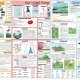 Key Stage 3 Geography Knowledge Organisers