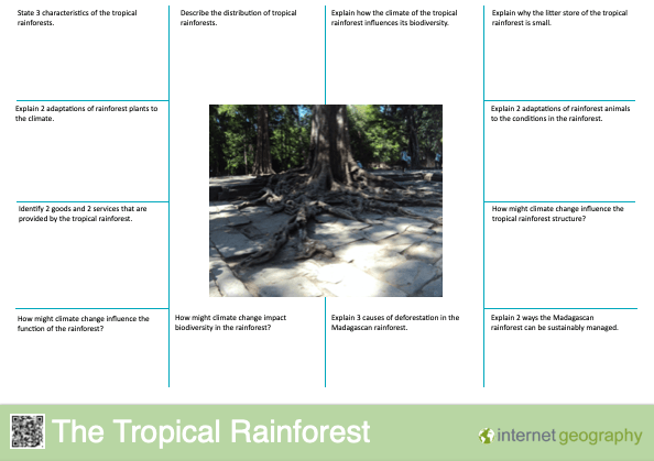 Edexcel A The Tropical Rainforest Revision Mat