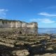 Flamborough Tour