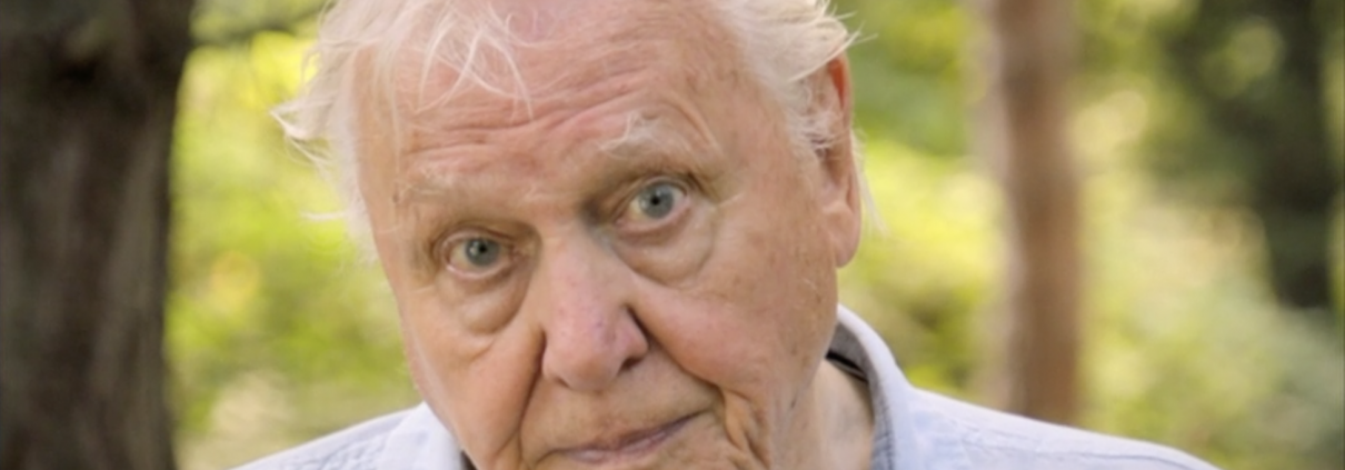 Extinction the facts