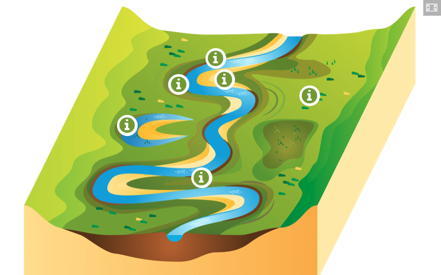 Meander Interactive Diagram