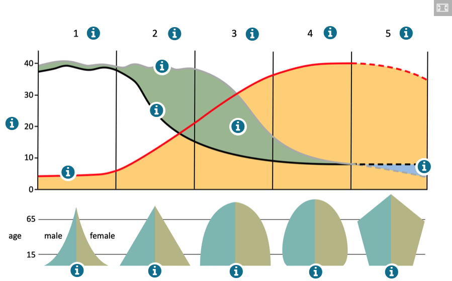 The Demographic Transition Model Interactive Diagram