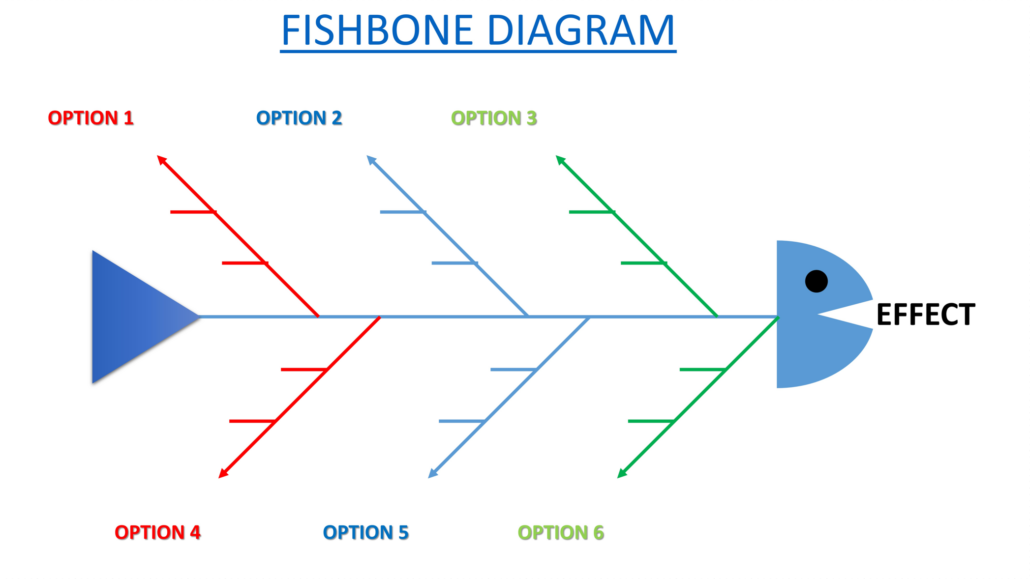 Fishbone diagram