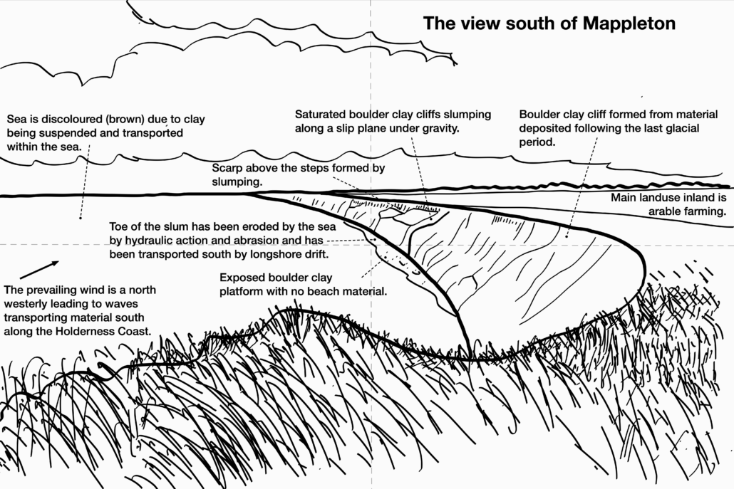 Annotating a field sketch