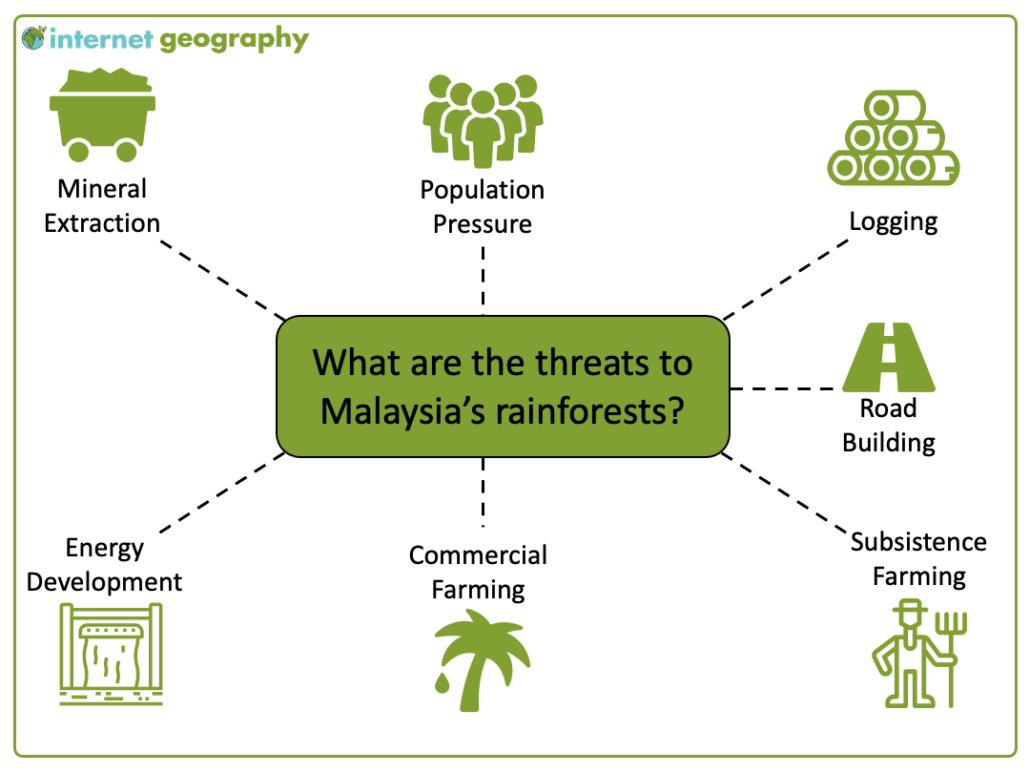 Causes of Deforestation in Malaysia