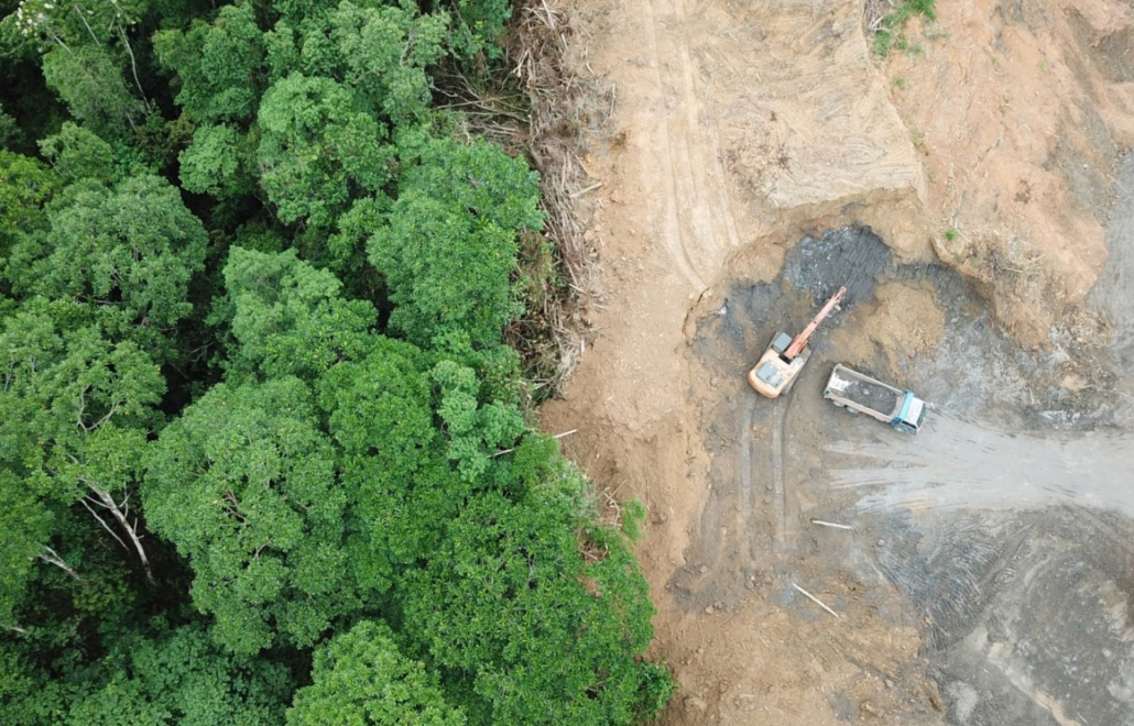 Deforestation in Malaysia