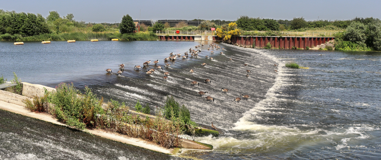 Jubilee River flood relief channel