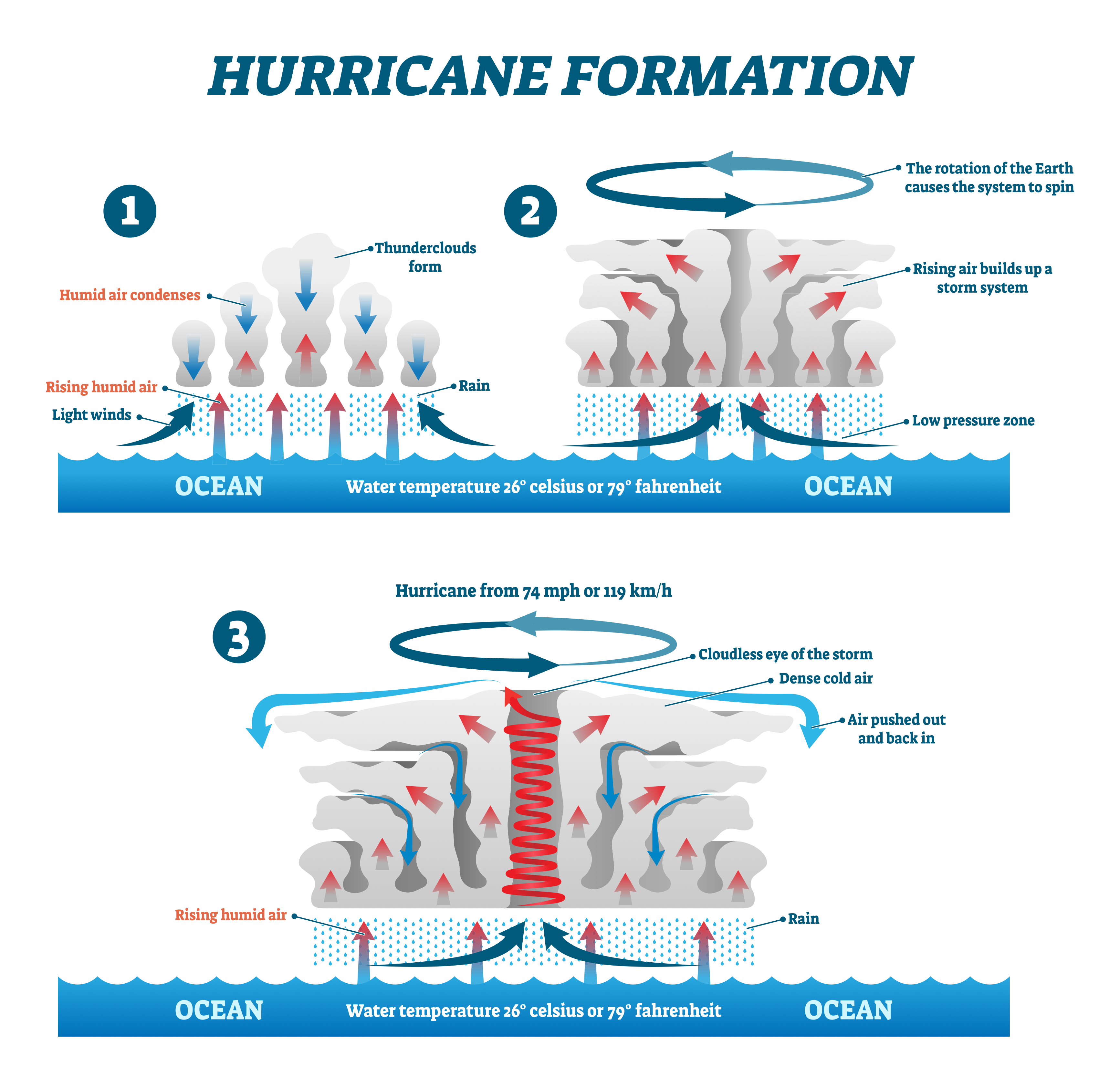 How do tropical storms form?