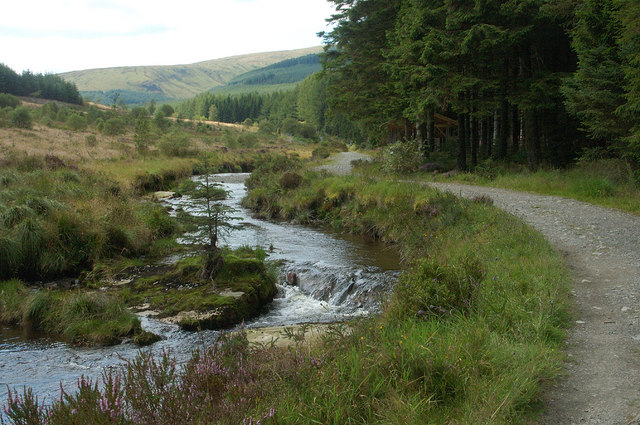 Rapids on the River Tees in Hafren Forest