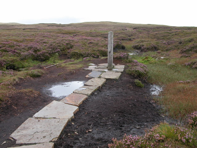 The Source of the River Severn