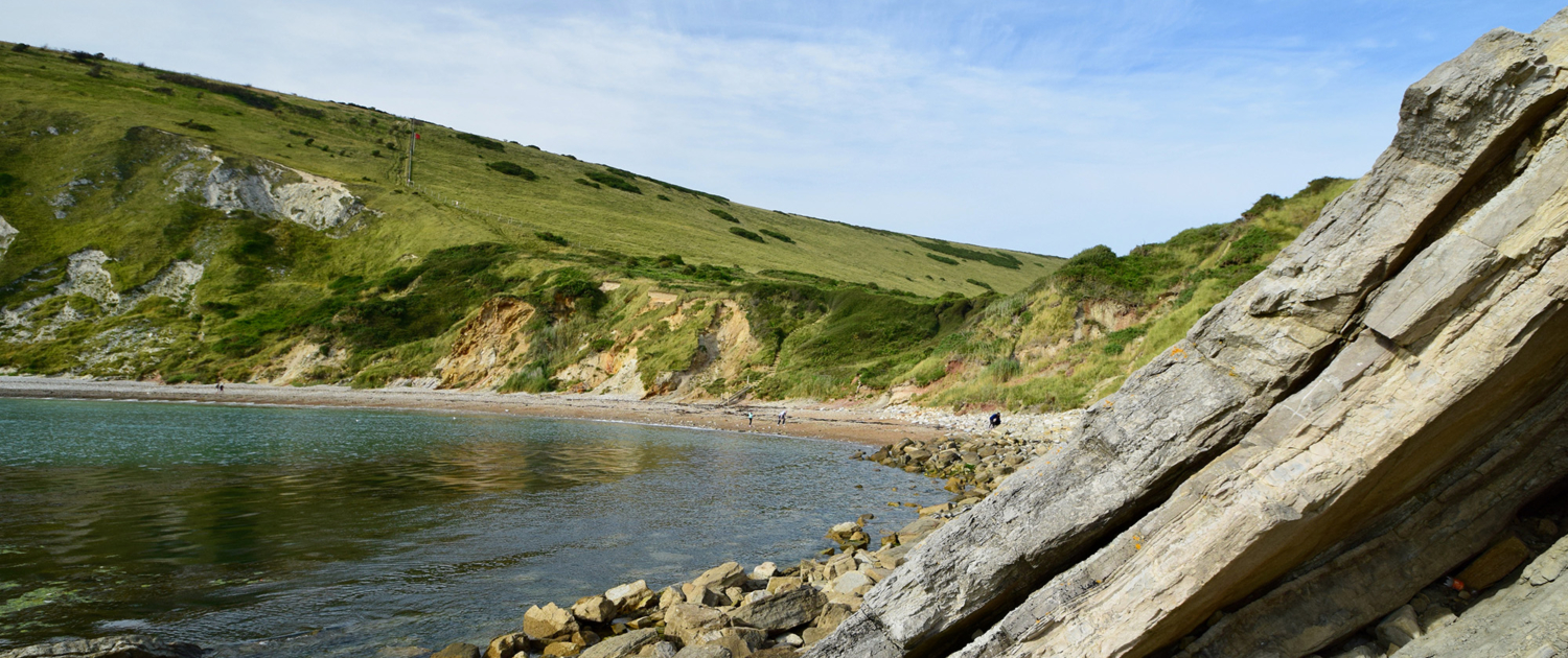 How do geological structure and rock type influence coastal landforms?