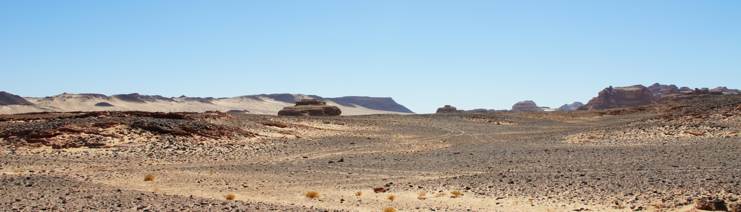 A hot desert environment