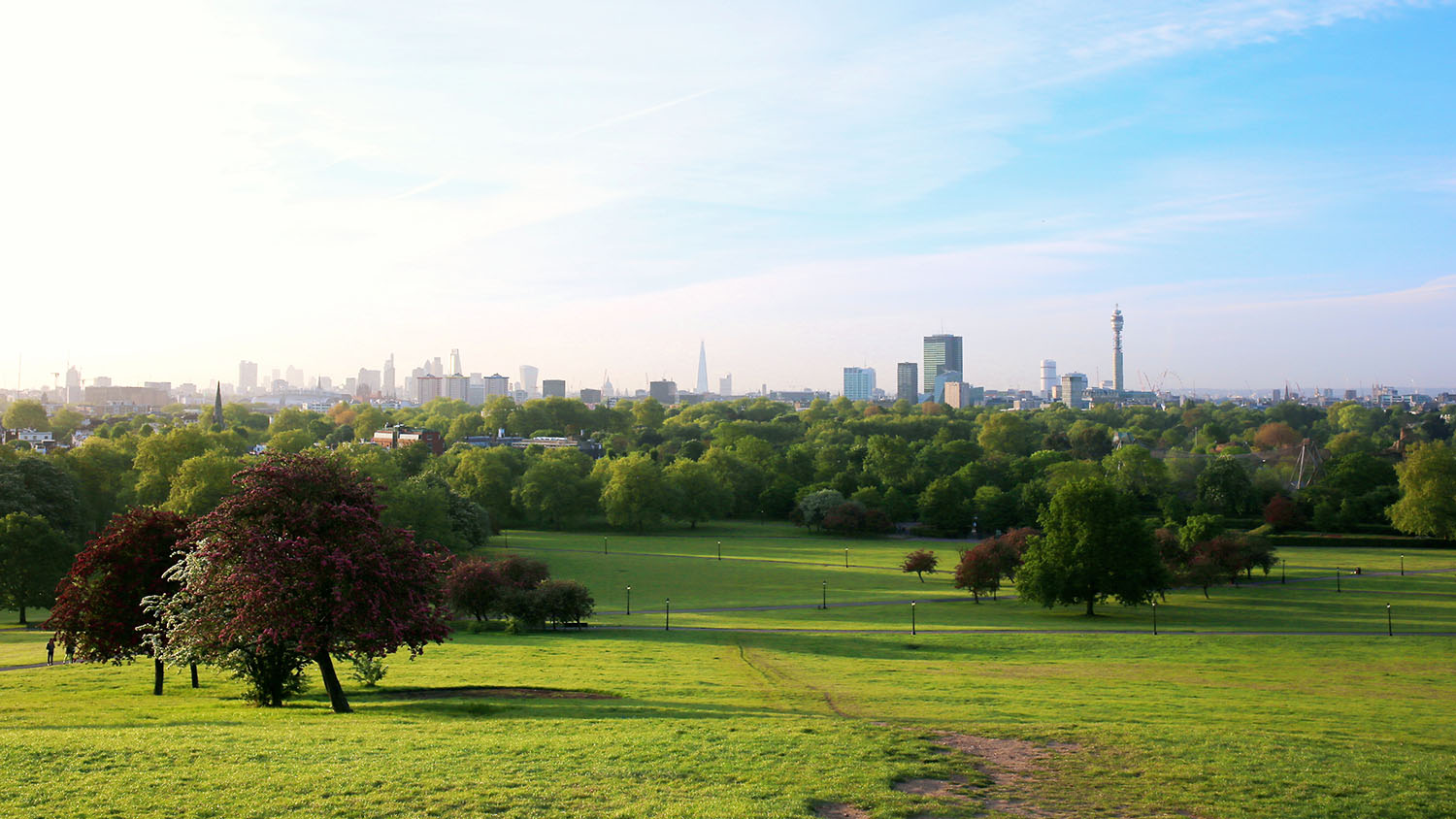 The London cityscape seen from Primrose Hill in St. Regents park