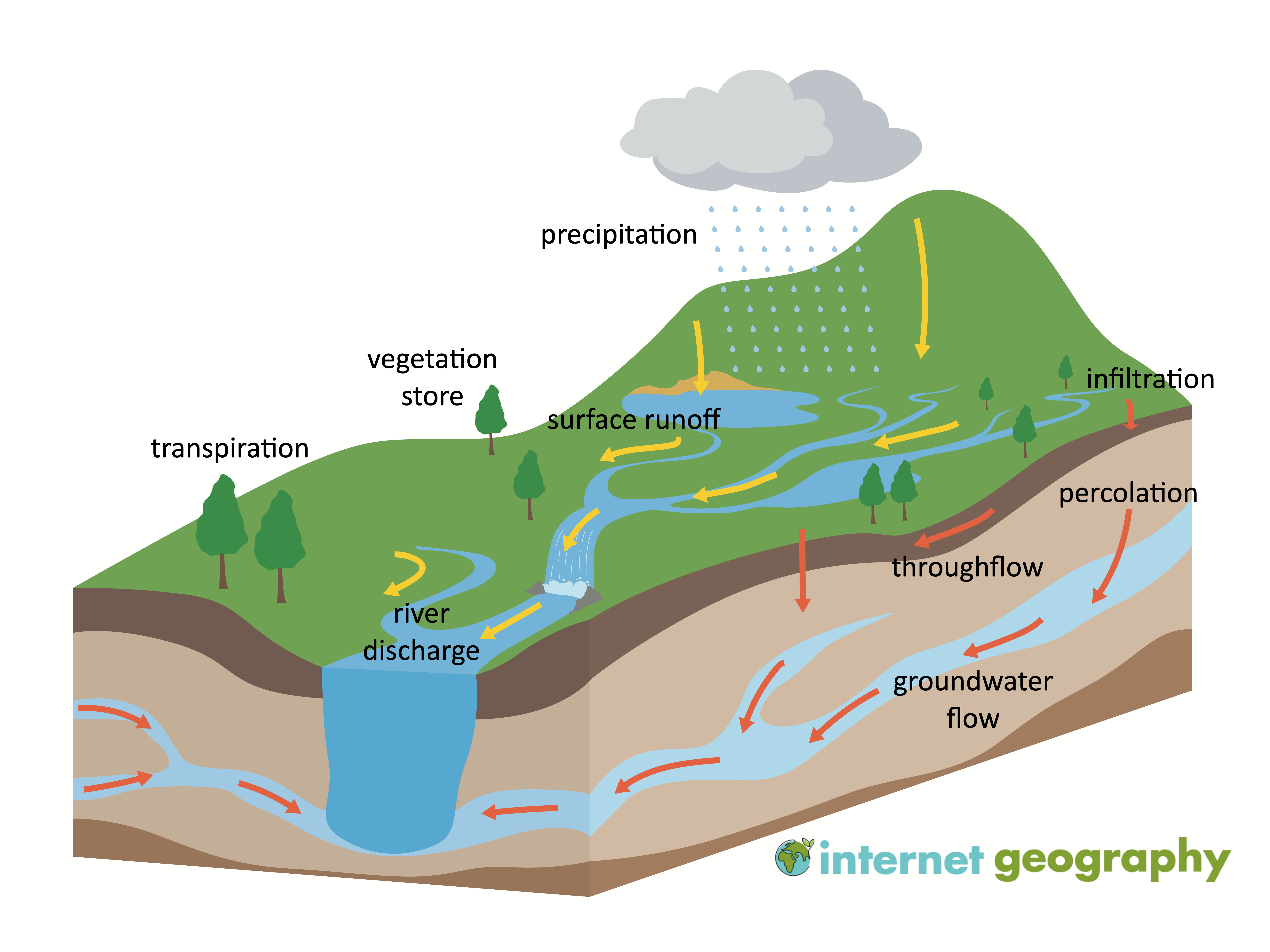 Drainage basin hydrological cycle 