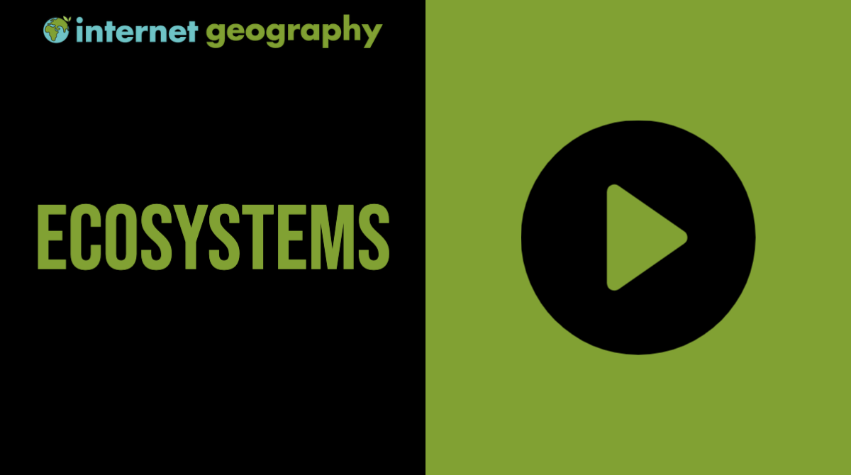 Ecosystems Videos