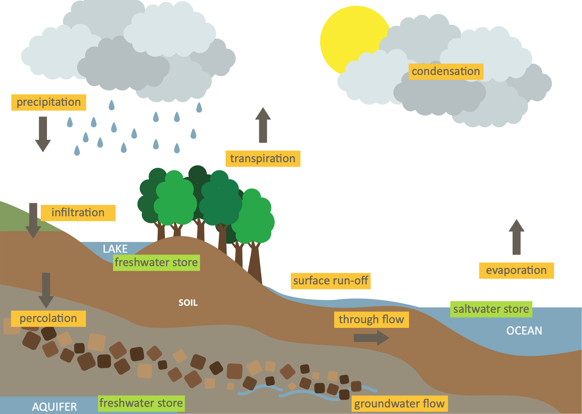The Hydrological Cycle