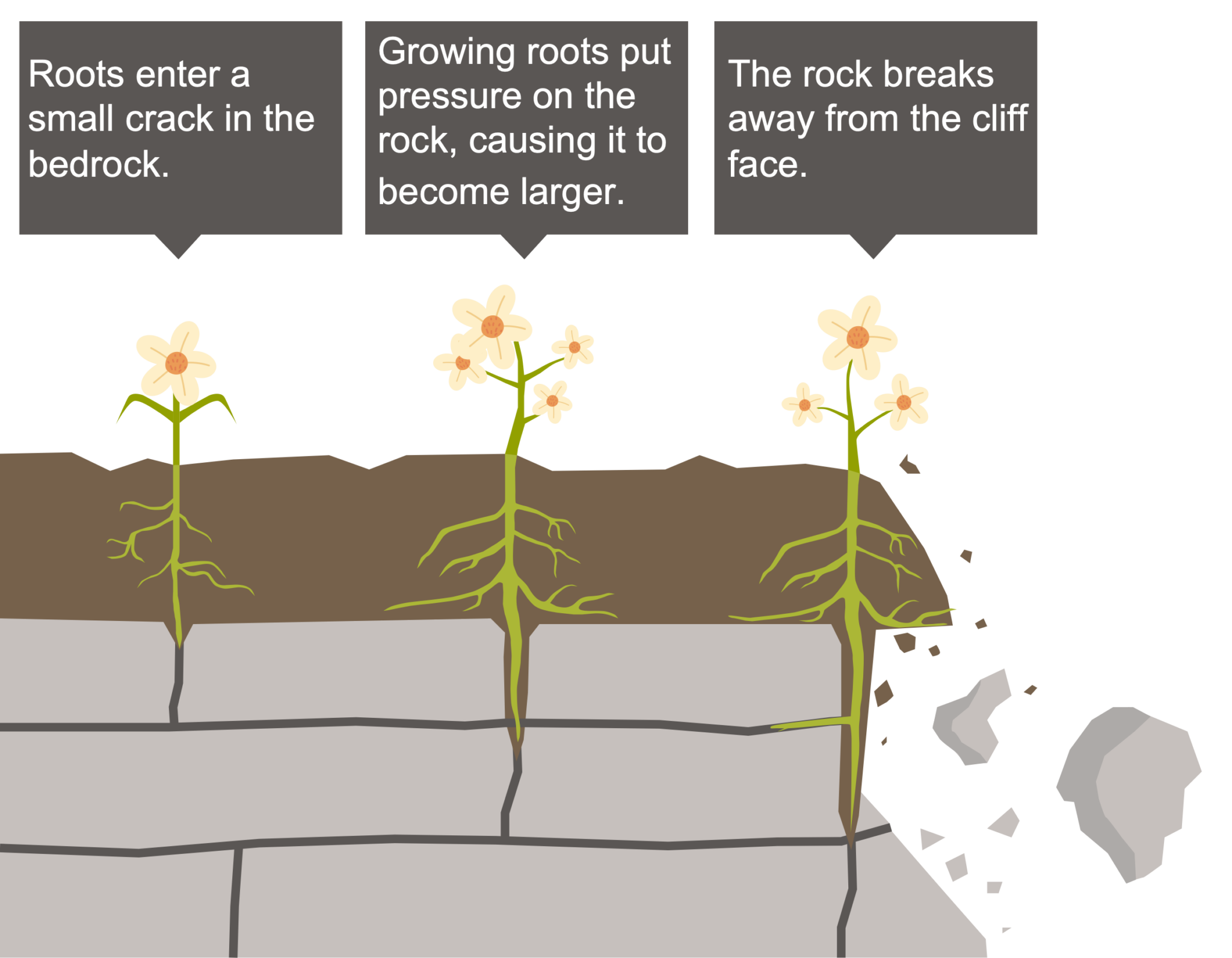 What is chemical and mechanical weathering? Geography