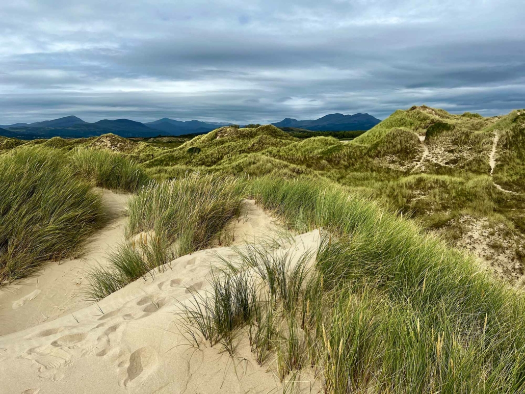 Sand dunes at Harlech in North Wales