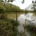 Flooded public footpath and farmland in Horley, Surrey on November 2nd 2023 after Storm Ciaran
