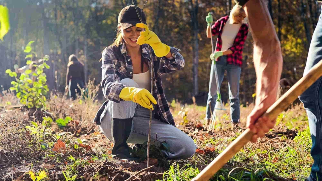 An image of people planting trees