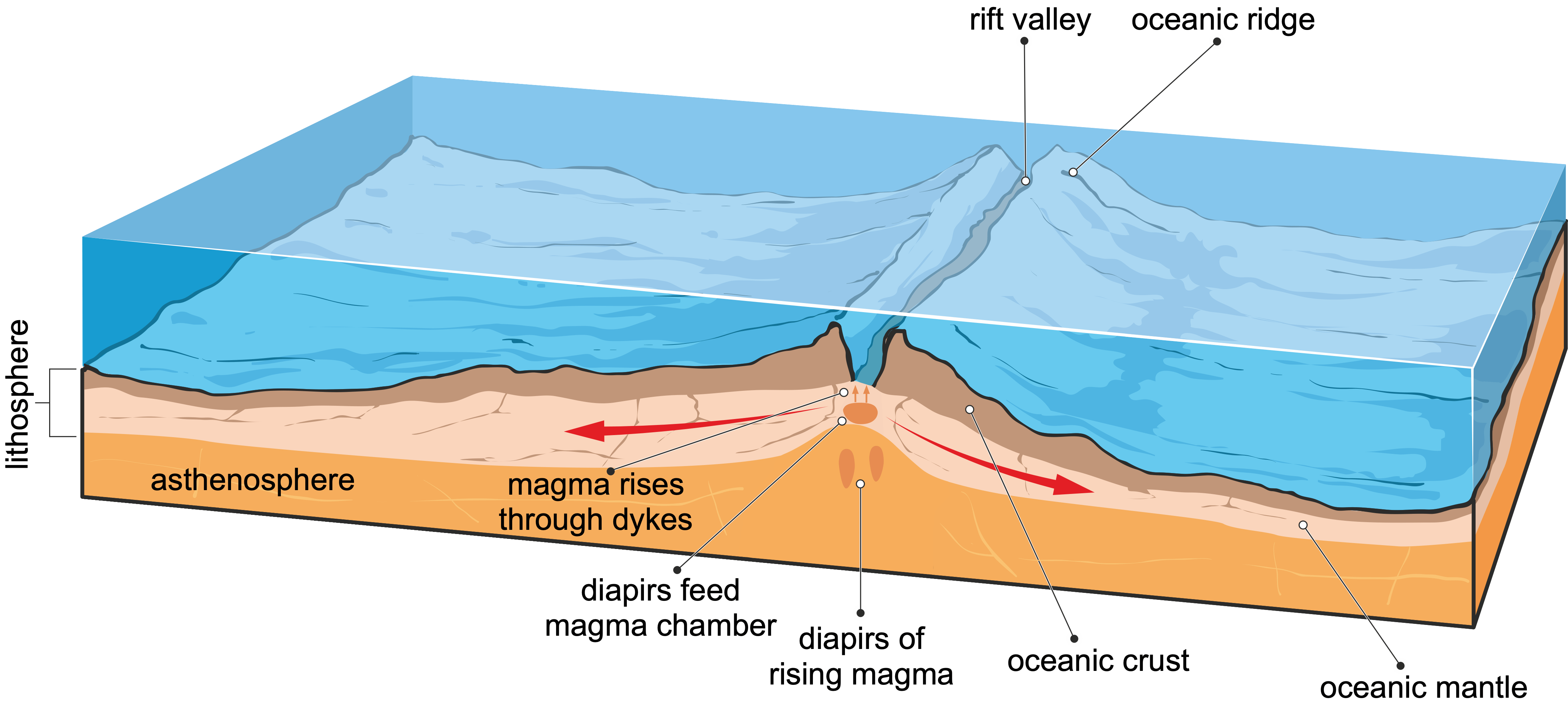 An oceanic-oceanic constructive plate margin